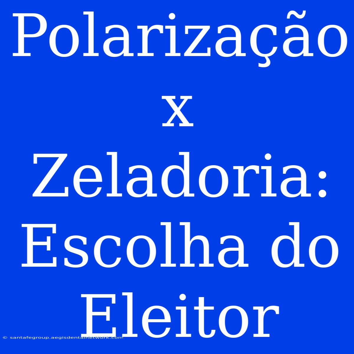 Polarização X Zeladoria: Escolha Do Eleitor