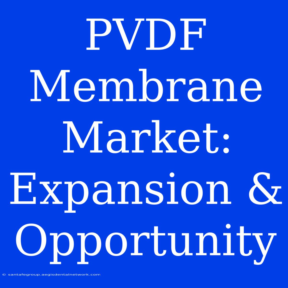 PVDF Membrane Market: Expansion & Opportunity