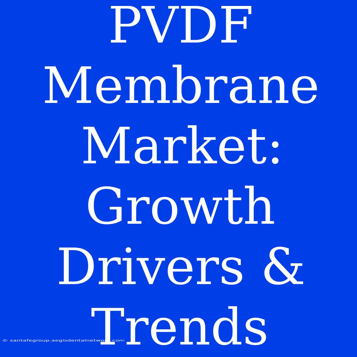 PVDF Membrane Market: Growth Drivers & Trends