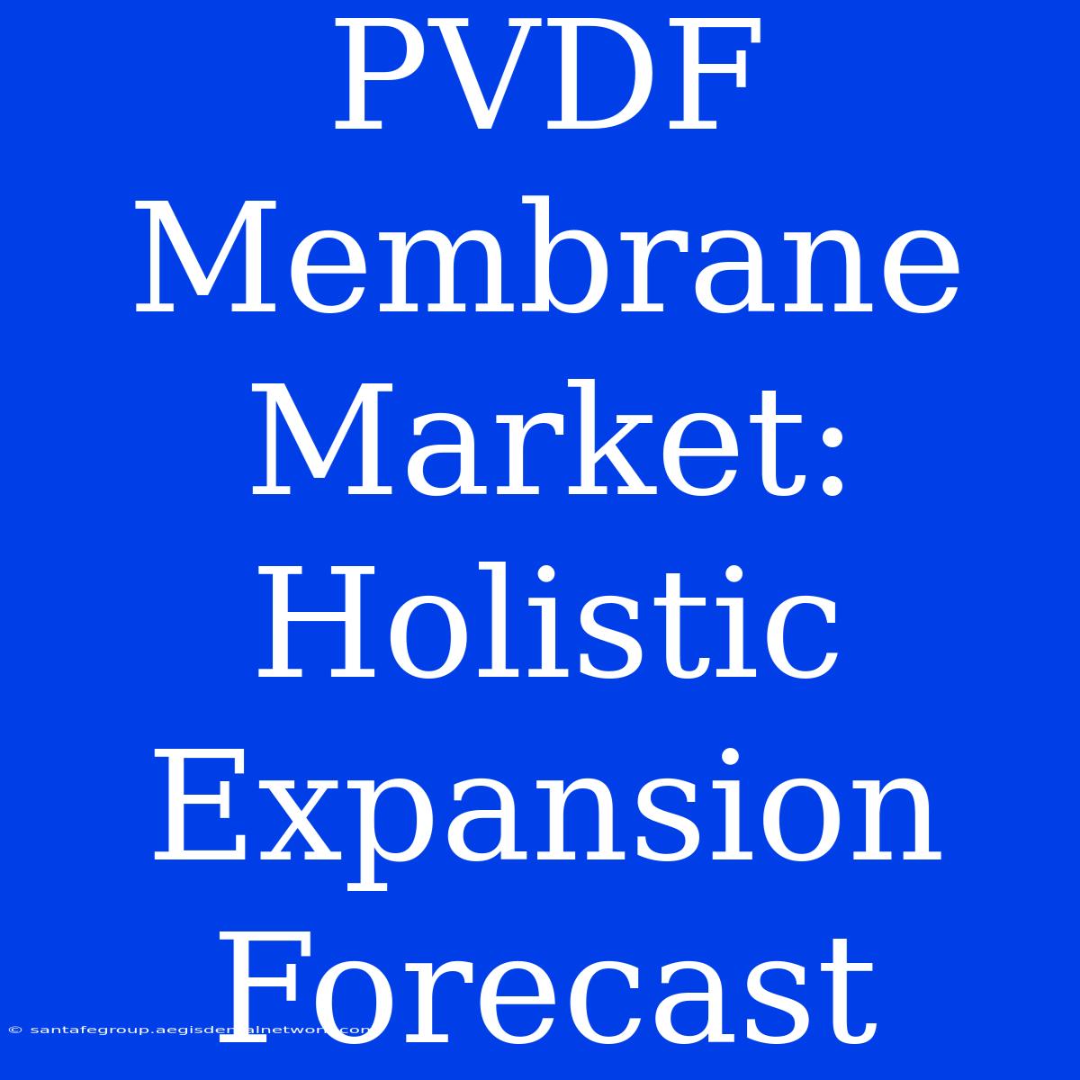 PVDF Membrane Market: Holistic Expansion Forecast