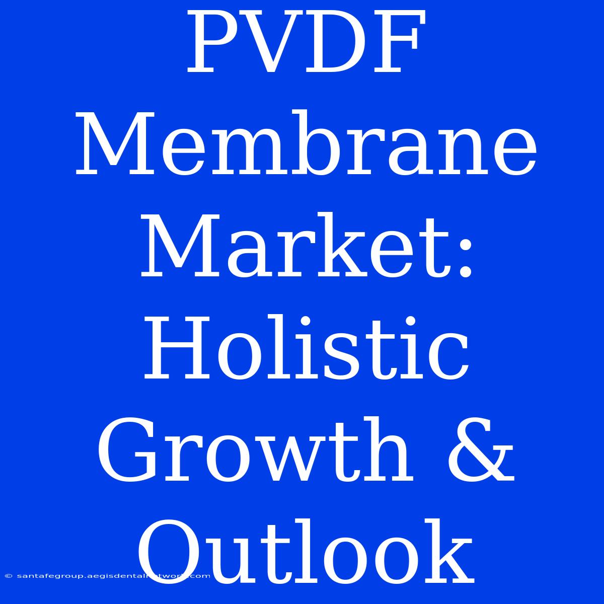 PVDF Membrane Market: Holistic Growth & Outlook