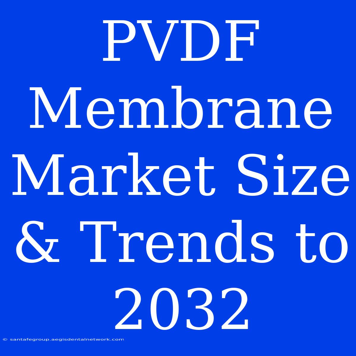 PVDF Membrane Market Size & Trends To 2032