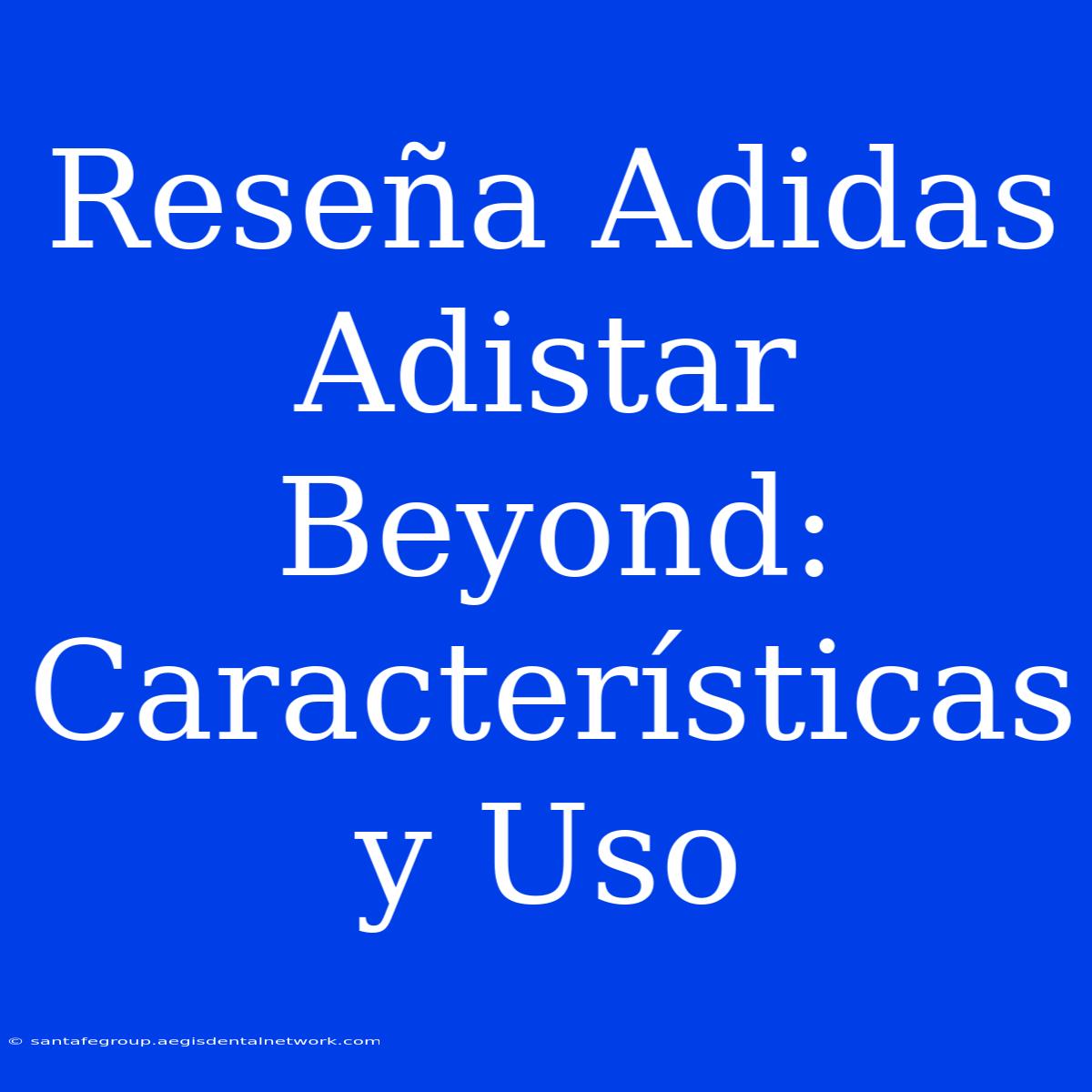 Reseña Adidas Adistar Beyond: Características Y Uso