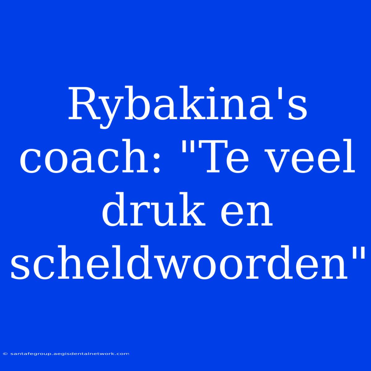 Rybakina's Coach: 