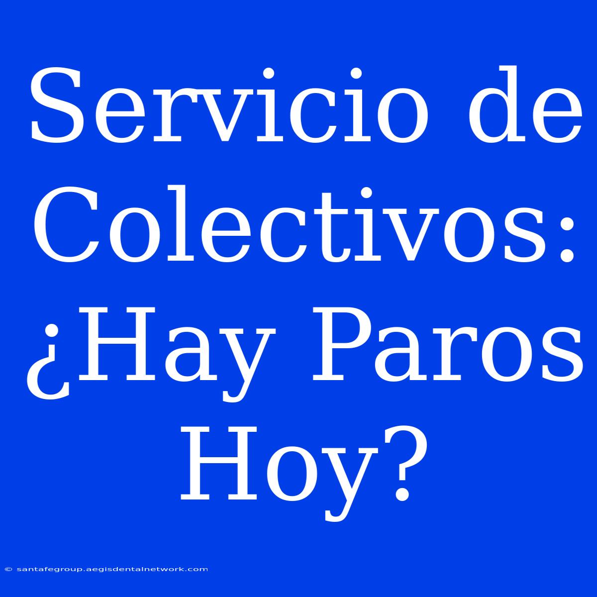 Servicio De Colectivos: ¿Hay Paros Hoy?