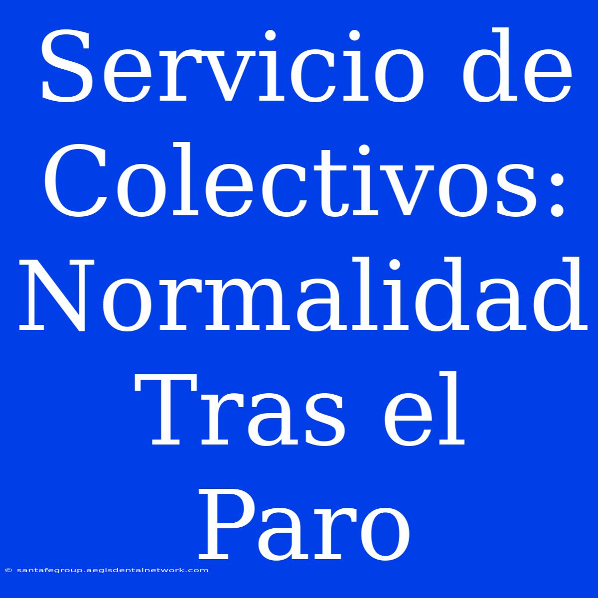 Servicio De Colectivos: Normalidad Tras El Paro