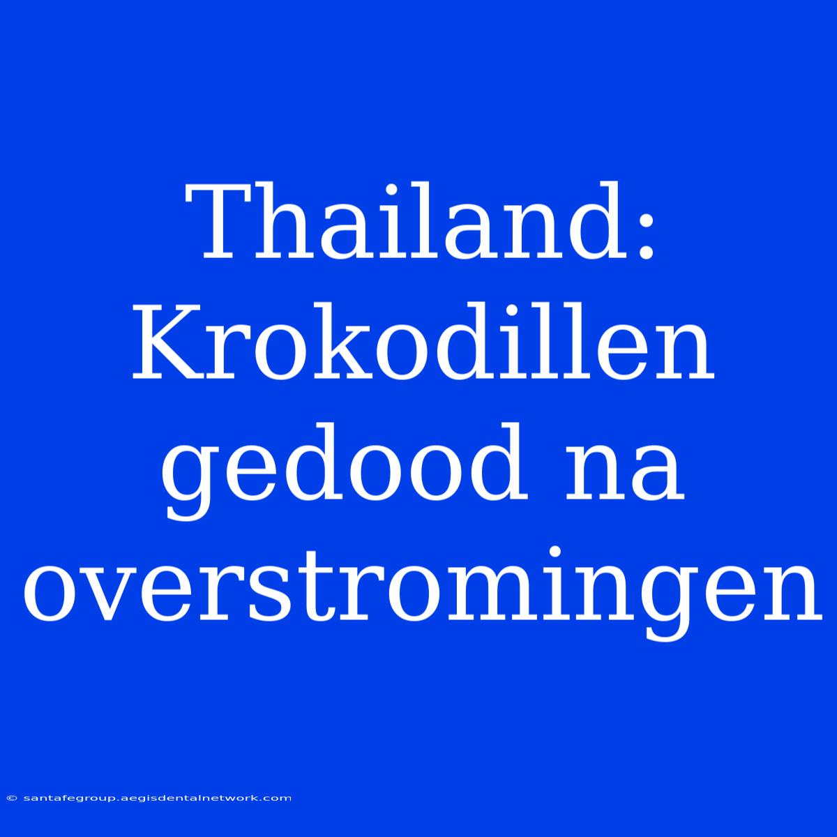 Thailand: Krokodillen Gedood Na Overstromingen