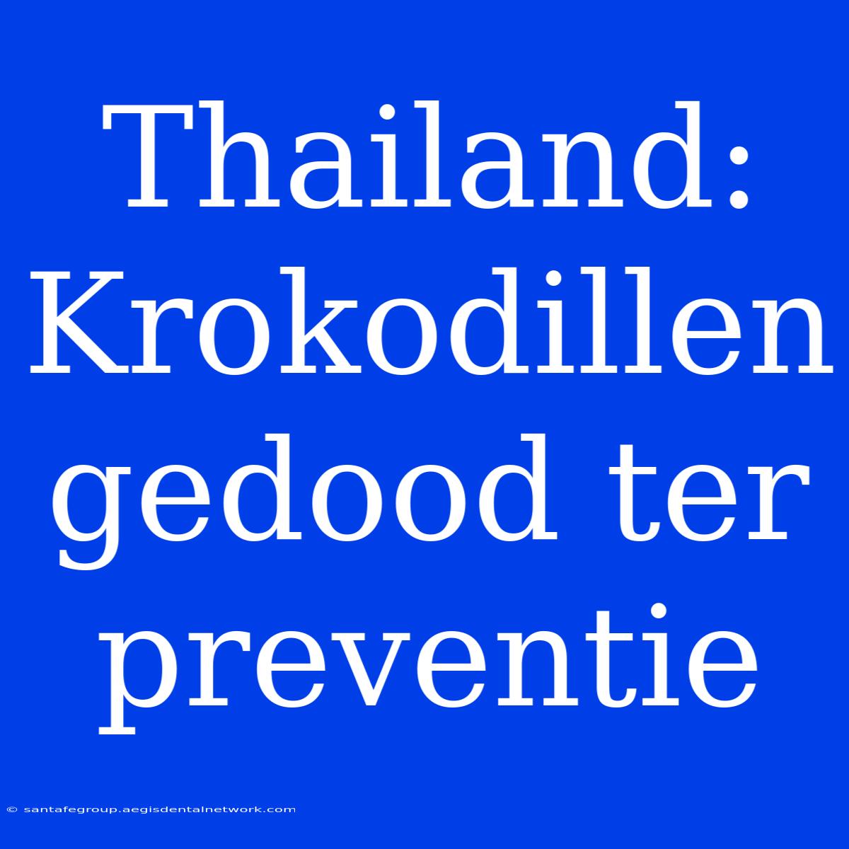 Thailand: Krokodillen Gedood Ter Preventie