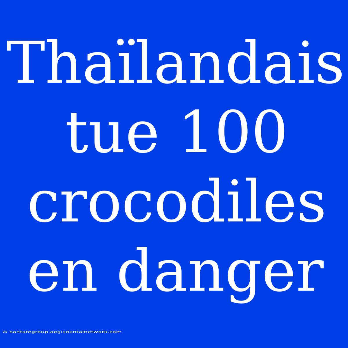 Thaïlandais Tue 100 Crocodiles En Danger