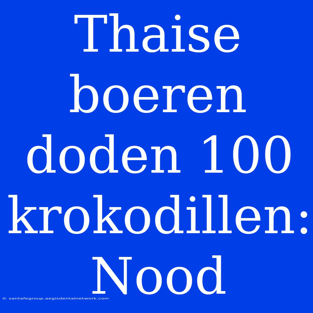 Thaise Boeren Doden 100 Krokodillen: Nood