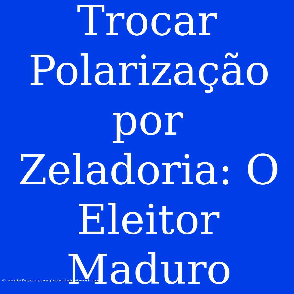 Trocar Polarização Por Zeladoria: O Eleitor Maduro