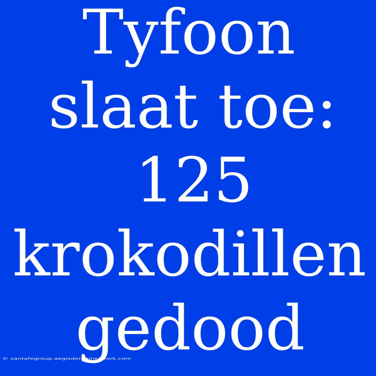 Tyfoon Slaat Toe: 125 Krokodillen Gedood