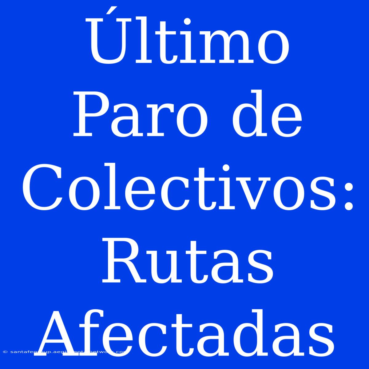 Último Paro De Colectivos: Rutas Afectadas