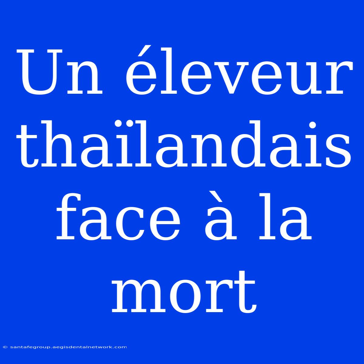 Un Éleveur Thaïlandais Face À La Mort