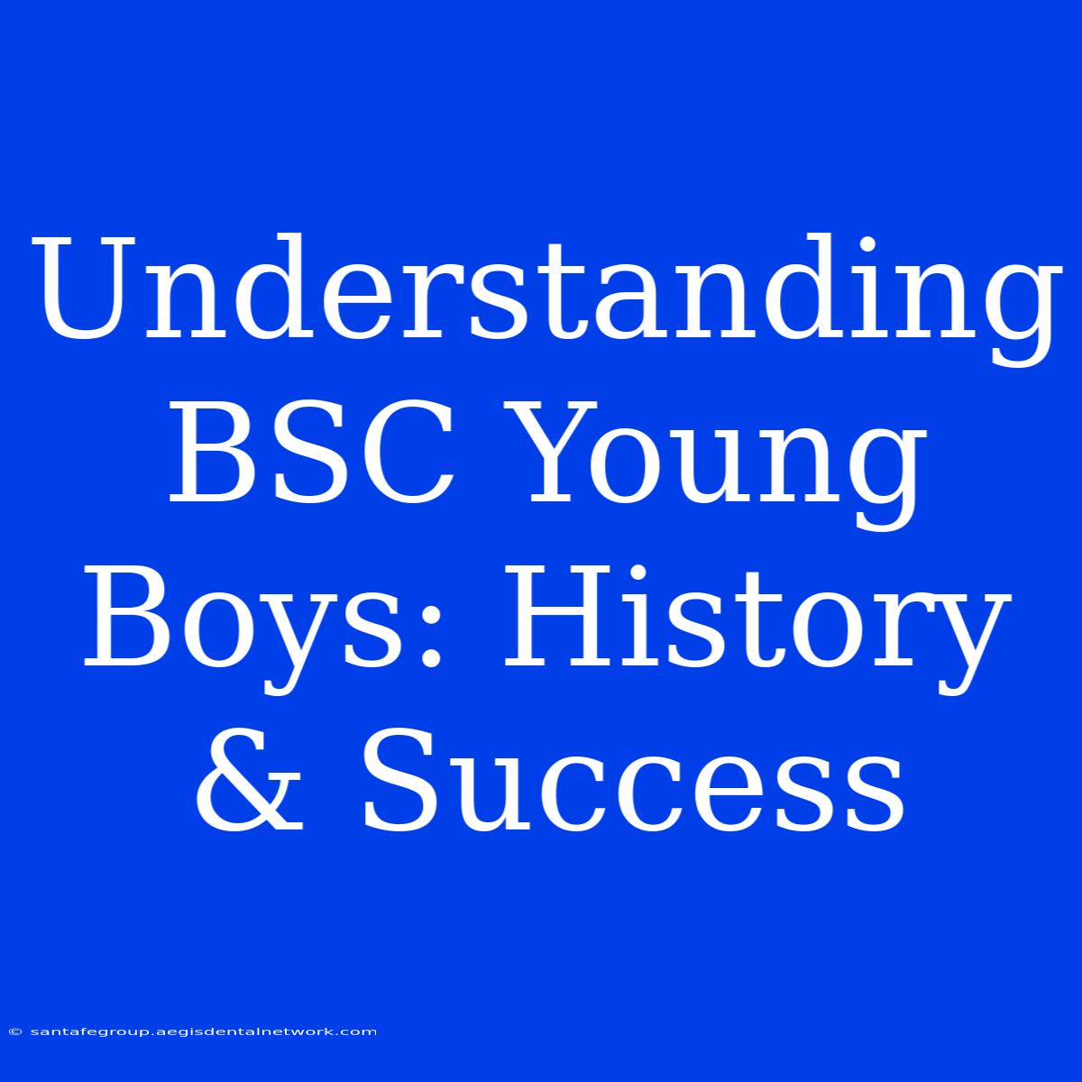 Understanding BSC Young Boys: History & Success