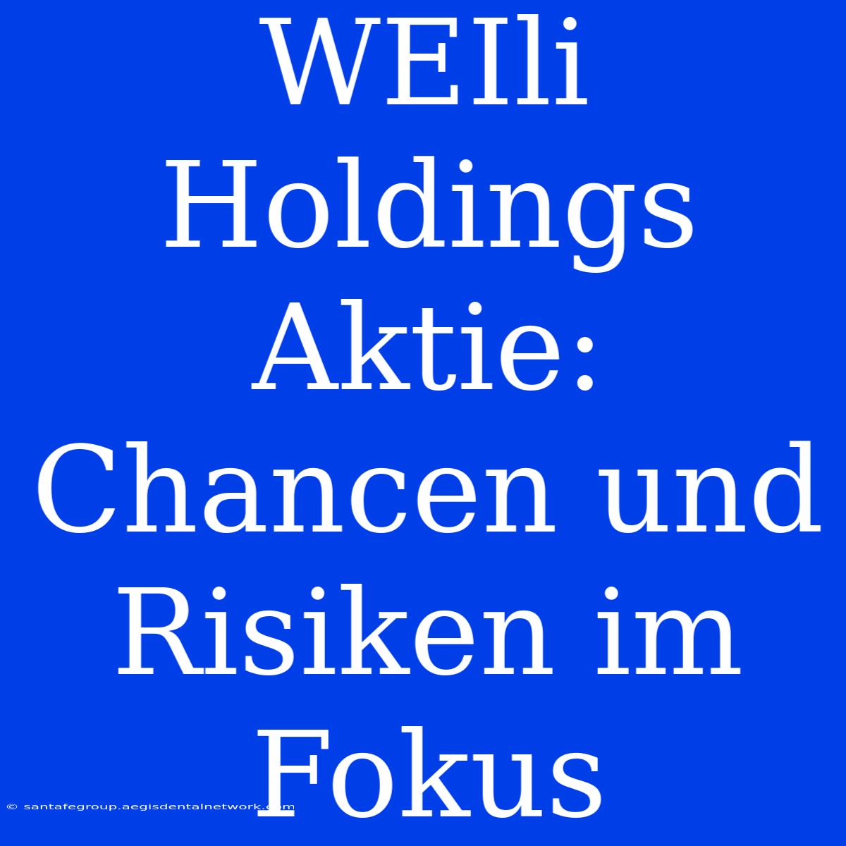 WEIli Holdings Aktie: Chancen Und Risiken Im Fokus