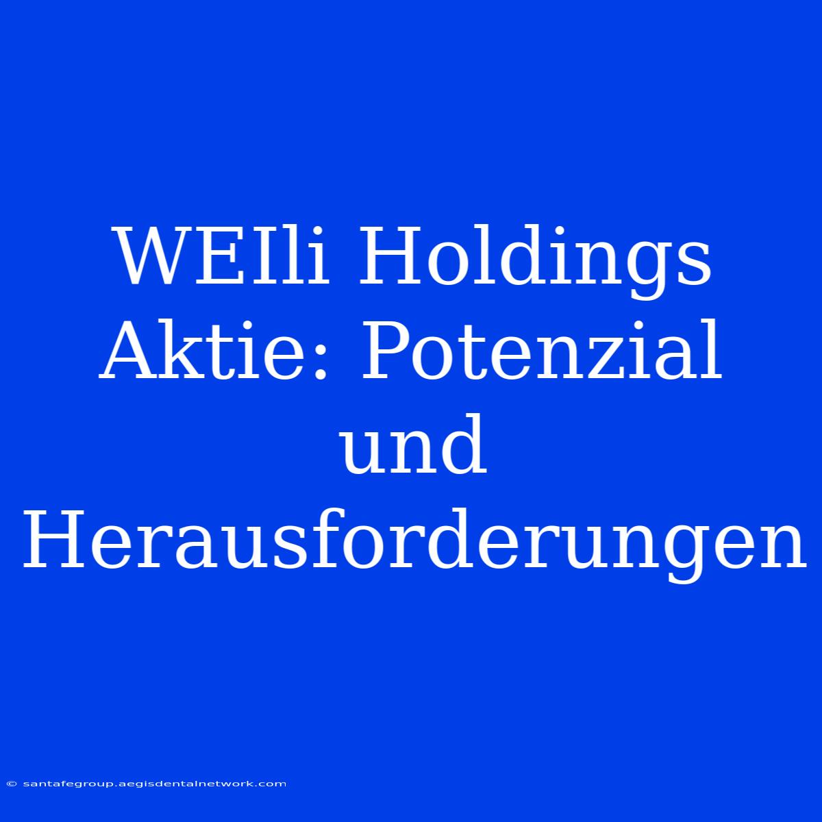 WEIli Holdings Aktie: Potenzial Und Herausforderungen 