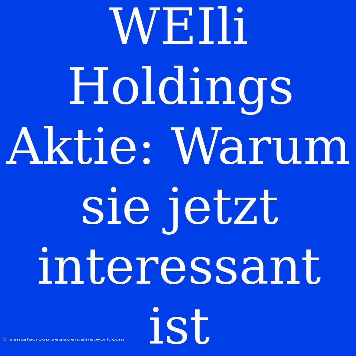 WEIli Holdings Aktie: Warum Sie Jetzt Interessant Ist