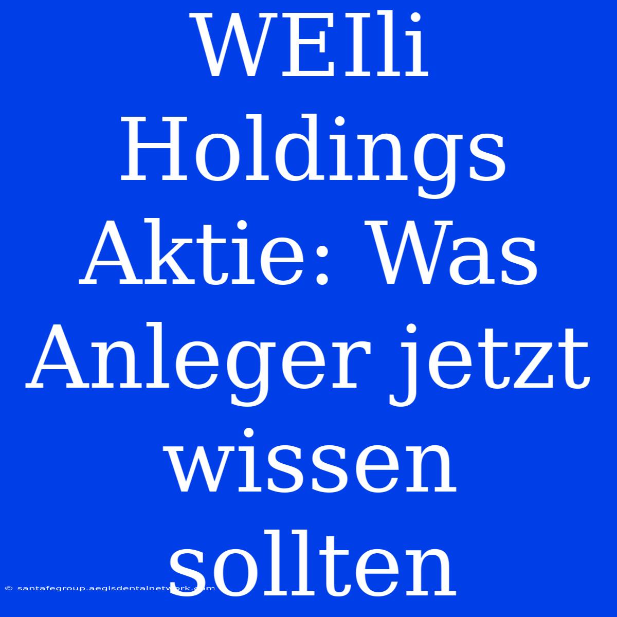 WEIli Holdings Aktie: Was Anleger Jetzt Wissen Sollten