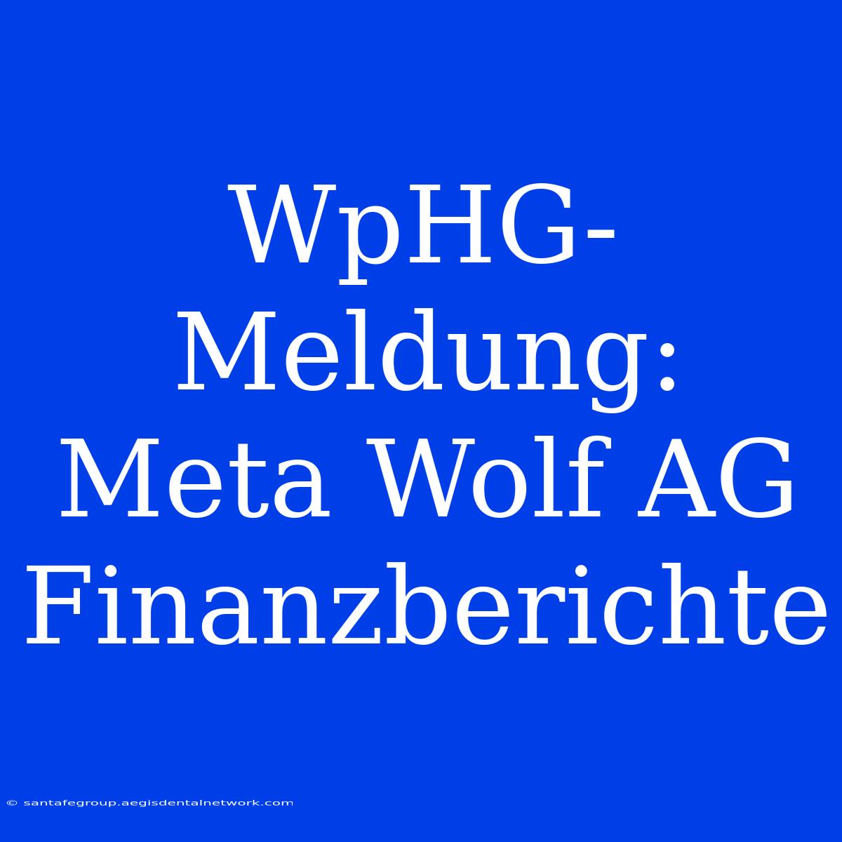 WpHG-Meldung: Meta Wolf AG Finanzberichte